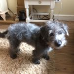 Terri Darlington - @terri_darlington - Instagram
