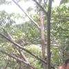 territdarlingss - @territdarlingss - TikTok