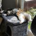 Teri Delano-Topping - Facebook