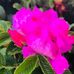 Terri Delano - Facebook