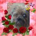 M Terri Delk Driver - Facebook