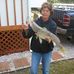 Terri Demorest - Facebook