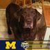 Terri Demorest - Facebook