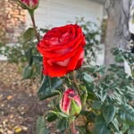 Terri Denton - @terri.denton.9 - Instagram