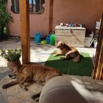 Terry Derrick - @terry.derrick.7965 - Instagram