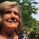 Terri Postma DeVries - @devriesterripostma - Instagram