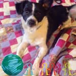 Terri Diamond - @terri.diamond.3 - Instagram