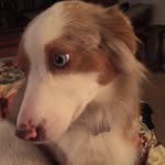 Terri dickerson - @terridickerson1949 - Instagram