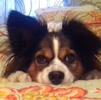Terri Doby - Facebook