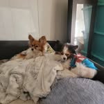 Terri Dodd - @terri.dodd2 - Instagram