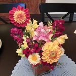 Terri Lynn Dodd - @doddtl60 - Instagram