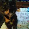 Lugita - @terridolan8 - TikTok