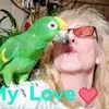 Teri Dolan Schall - @ttbrdlady - TikTok