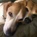 Terry Dolan - Facebook
