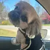 Terri Dotson - @terridotson0 - TikTok