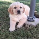 td-2025 - @terri.dowd.3 - Instagram