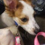 Terri Downey - @terri.downey.710 - Instagram
