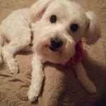Terri Downing Halpin - @downinghalpin - Instagram
