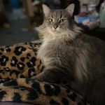 Terri Harris-Downing - @harrisdowning - Instagram