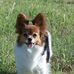 Terry Downing - Facebook
