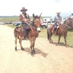 Terry Downing - @terry.downing1 - Instagram