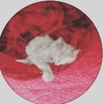 Terri Lenahan-Downs - @terrilenahandowns - Instagram