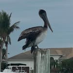 Terry Downs - @kbeerman31 - Instagram