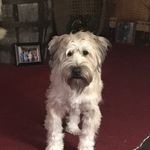 Terri Draper - @tjdraper282 - Instagram