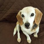 Terri Draper Sanderlin - @terrisanderlin8 - Instagram