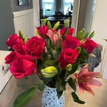 Terri Drew - @terri.drew - Instagram