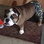 Terri Drewelow - @terridrewelow5155 - Instagram