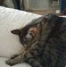 Theresa Duhon - Facebook
