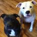 Terri Dunham - Facebook