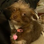 Terri Dunlap - @parkourpenny21 - Instagram