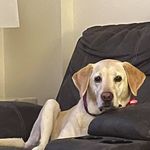 Terri Dunning Sundquist - @terri2269 - Instagram