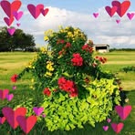 Terri Eddins - Facebook