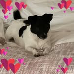 Terri Edmonds - @edmondsterri - Instagram