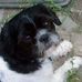 Terri Edmondson - Facebook