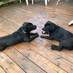 Terry Edmonds - @edmonds.terry - Instagram