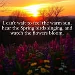 Terry Ernst - @poisonivy_6224 - Instagram