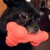 Terri Estep - Facebook