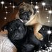 Terri Everhart - Facebook