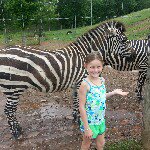 Terri Everhart - @jceverhart5 - Instagram