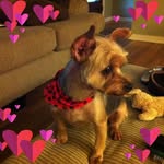Terri Ewing Klehm - @terriewingklehm - Instagram