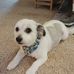 Terri Farley - Facebook