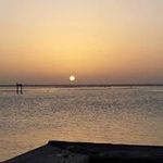 terri farley - @terrifarley40 - Instagram