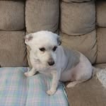 Terri Farley - @tlfarley12 - Instagram