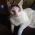 Terry Ferree - Facebook