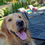 Terri Stann Ferris - @tferris61 - Instagram
