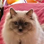 Terri Foley - @terri.foley.77 - Instagram